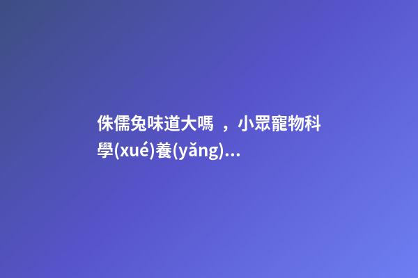 侏儒兔味道大嗎，小眾寵物科學(xué)養(yǎng)兔樂趣不比貓狗少